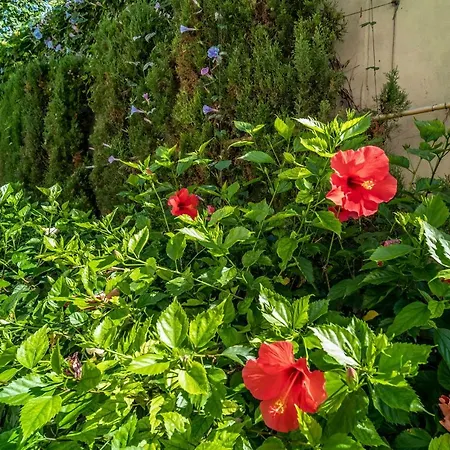 102 Guadalmansa Playa, Heaven *