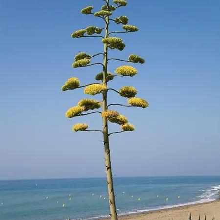 102 Guadalmansa Playa, Heaven Apartment *