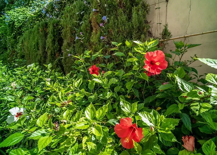 102 Guadalmansa Playa, Heaven *